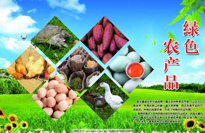 農(nóng)產(chǎn)品展板 連接城鄉(xiāng)的橋梁