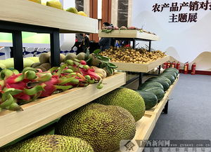 2018全國農(nóng)產(chǎn)品產(chǎn)銷對接行廣西站活動舉行，食用油產(chǎn)業(yè)迎來新機遇